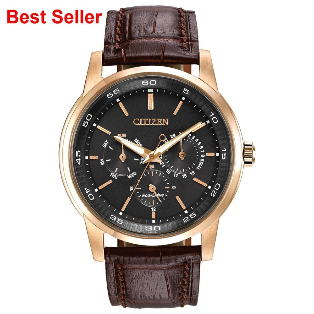 Men's Stainless Steel Watch with Leather Strap Eco-Drive